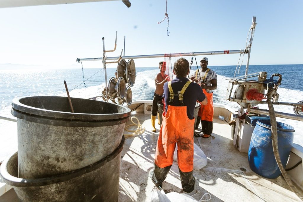 OGYRE: startup del "fishing for litter" che recupera la plastica dal mare grazie ai pescatori