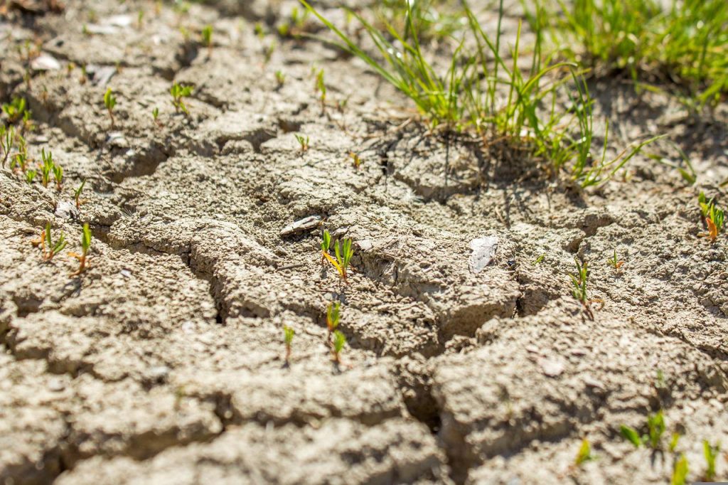 Osservatorio del Po, emergenza siccità una crisi idrica mai vista in 70 anni