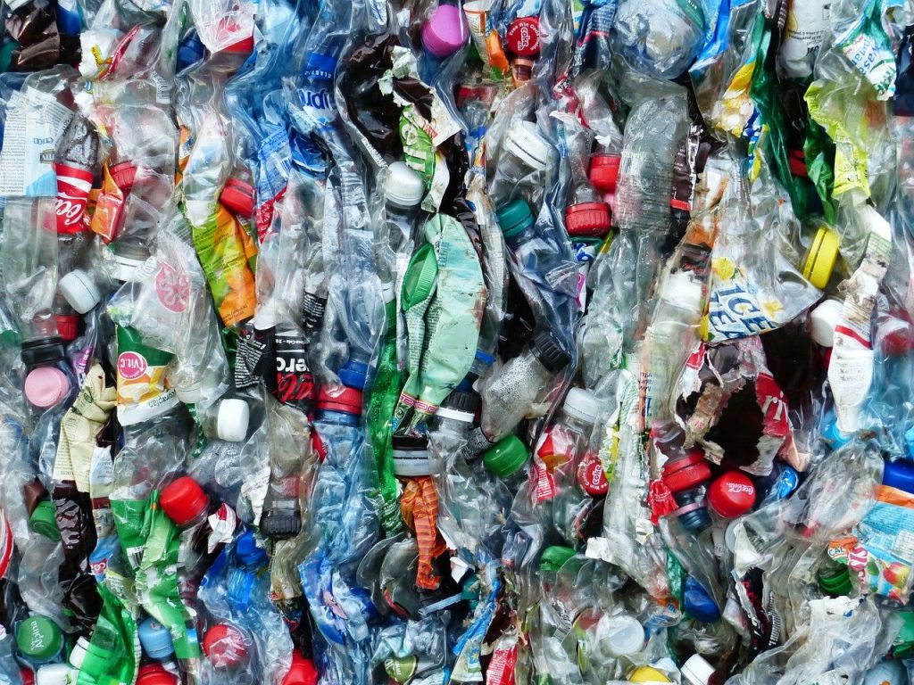 Plastica, in natura batteri killer capaci di mangiarla per un riciclo green