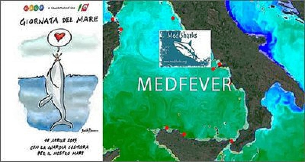 Progetto MedFever, per il mar Tirreno presentati i risultati del primo anno
