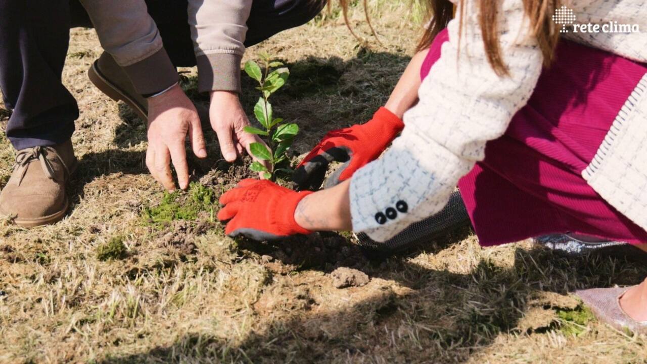 Rete Clima e Conad uniti per il progetto Forestiamo insieme l’Italia