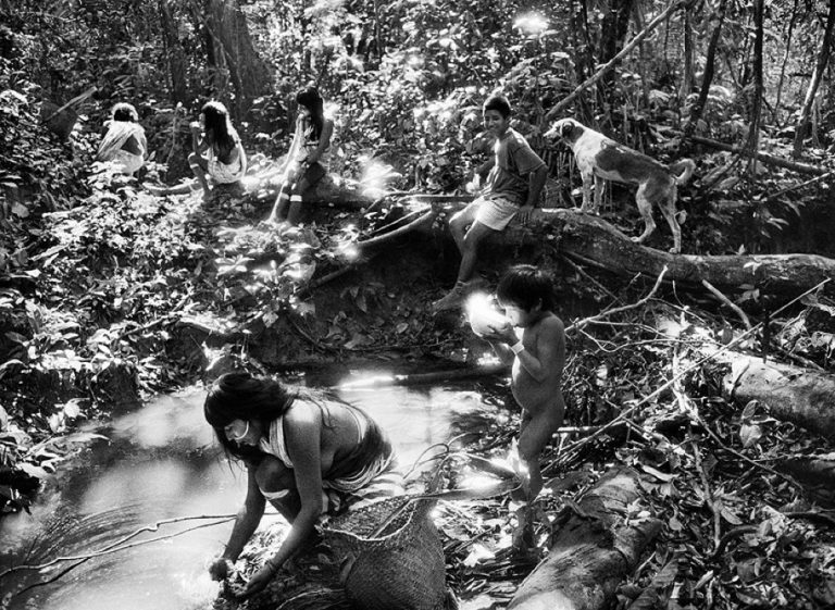 MAXXI, tutela biodiversità agroalimentare negli appuntamenti settimanali