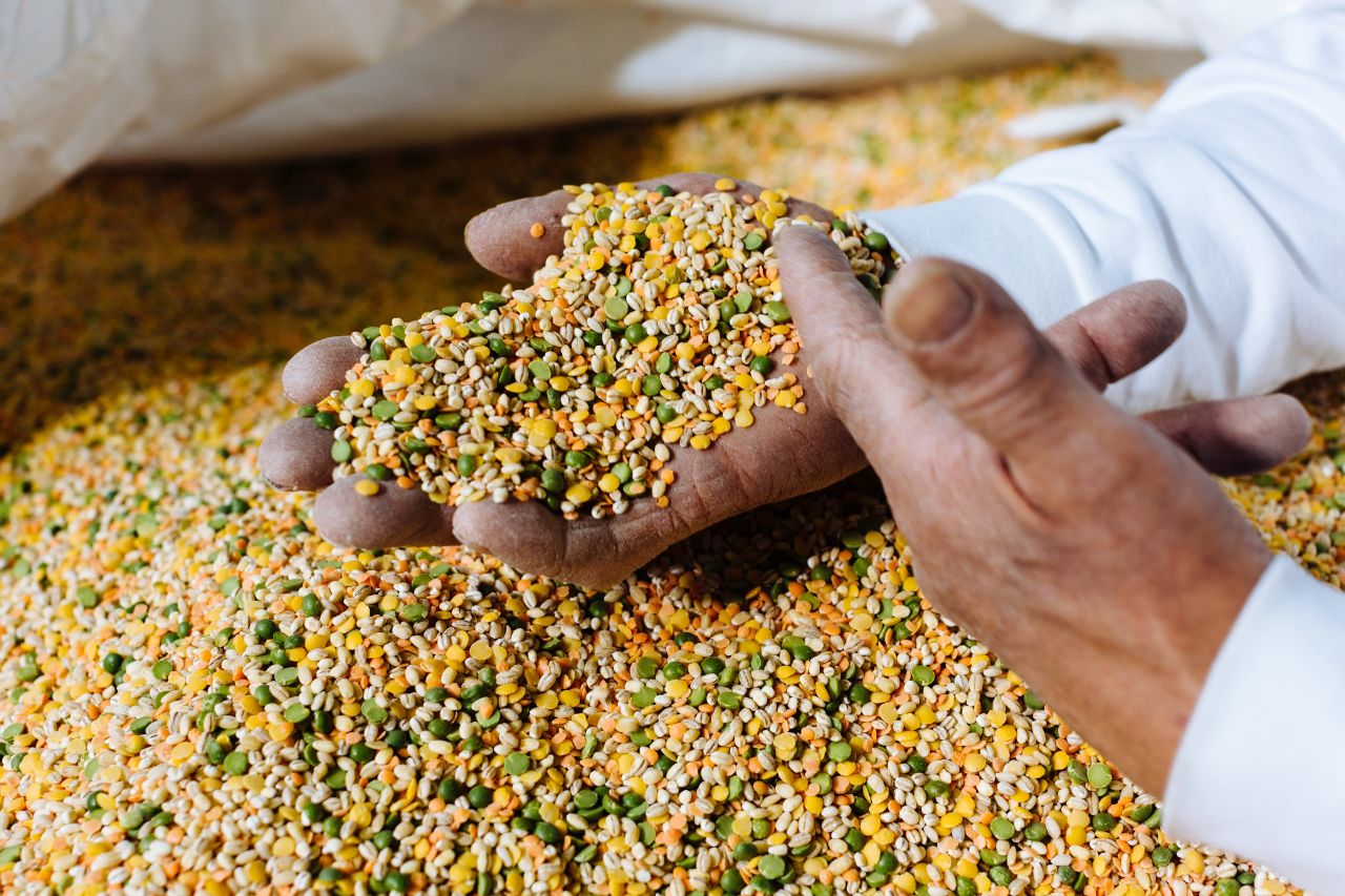 I legumi, alimento fondamentale per chi sceglie una dieta vegana