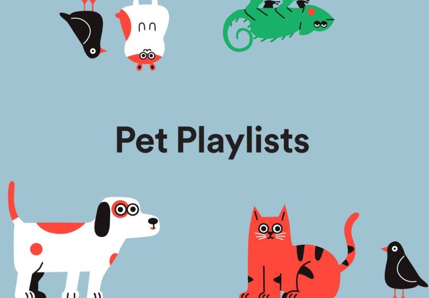 Da Spotify una pet-playslists pensata per cani e gatti
