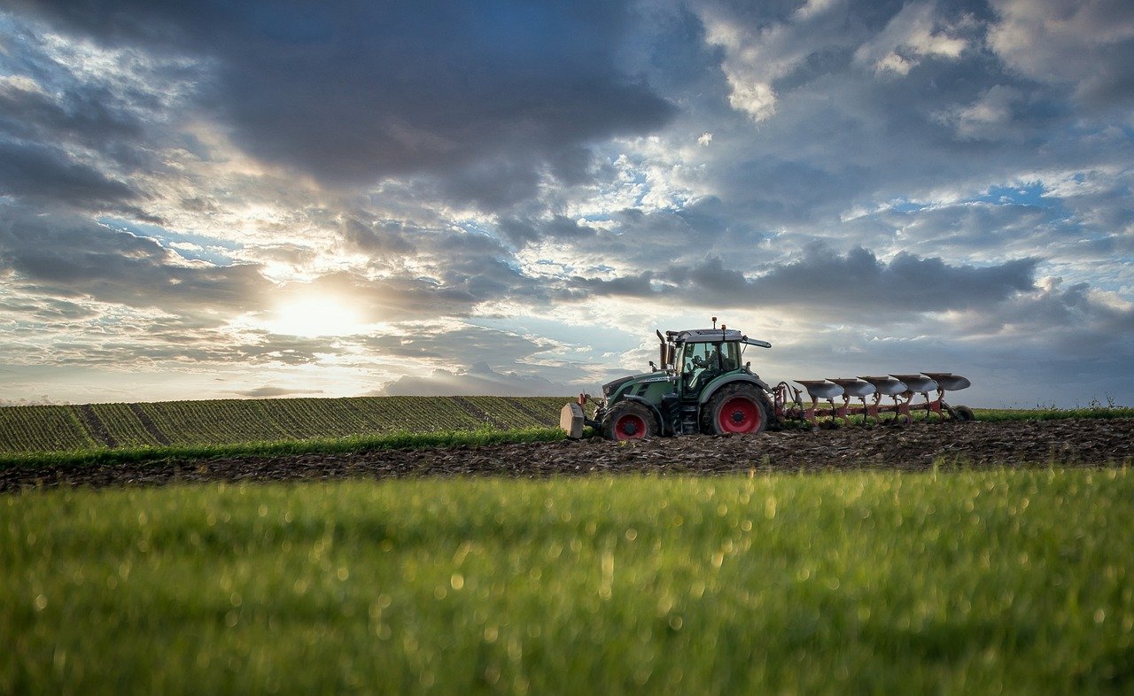 Sviluppato da ENEA software calcolo emissioni ammoniaca in agricoltura