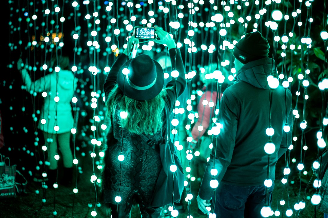 Trame di Luce: tornano all’Orto Botanico di Roma le spettacolari luci di Natale