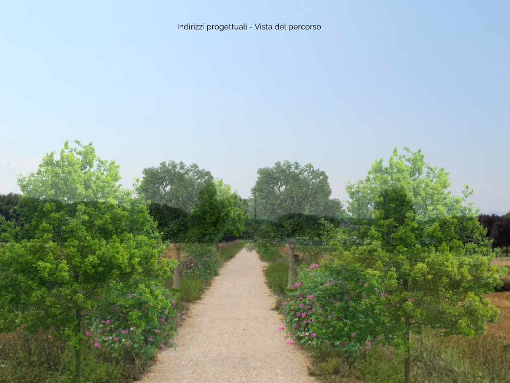 Tuscany’s breath, progetto green sull’afforestazione del Mugello