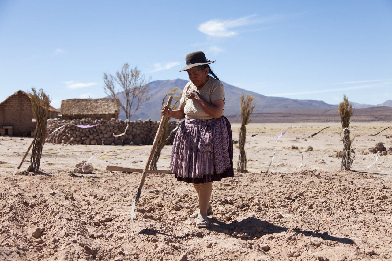 UTAMA, il film sui cambiamenti climatici in Bolivia