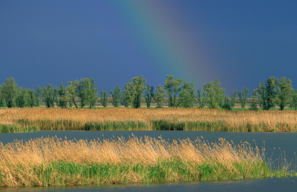 Valli di Argenta, preziose esplorazioni autunnali nel Parco del Delta del Po