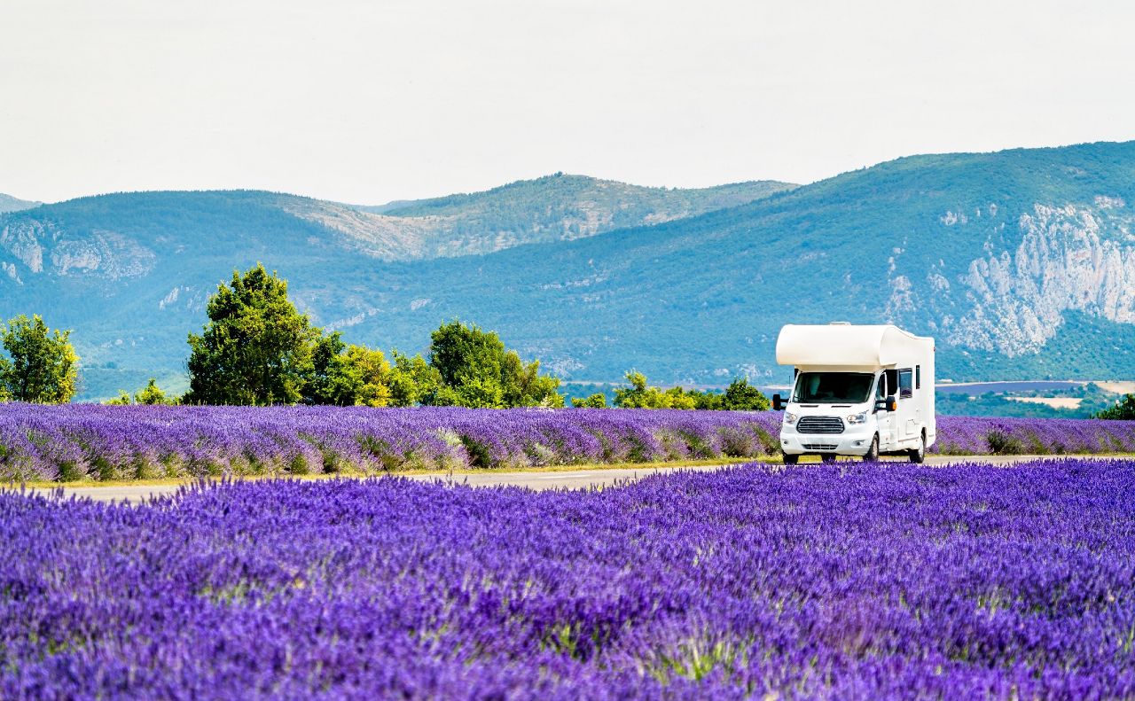 Lo splendore delle fioriture d’Italia, sei itinerari che tolgono il fiato