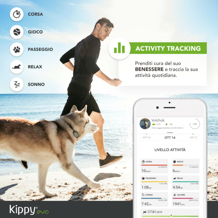 Animali, arriva Kippy Evo, pet smartphone con GPS