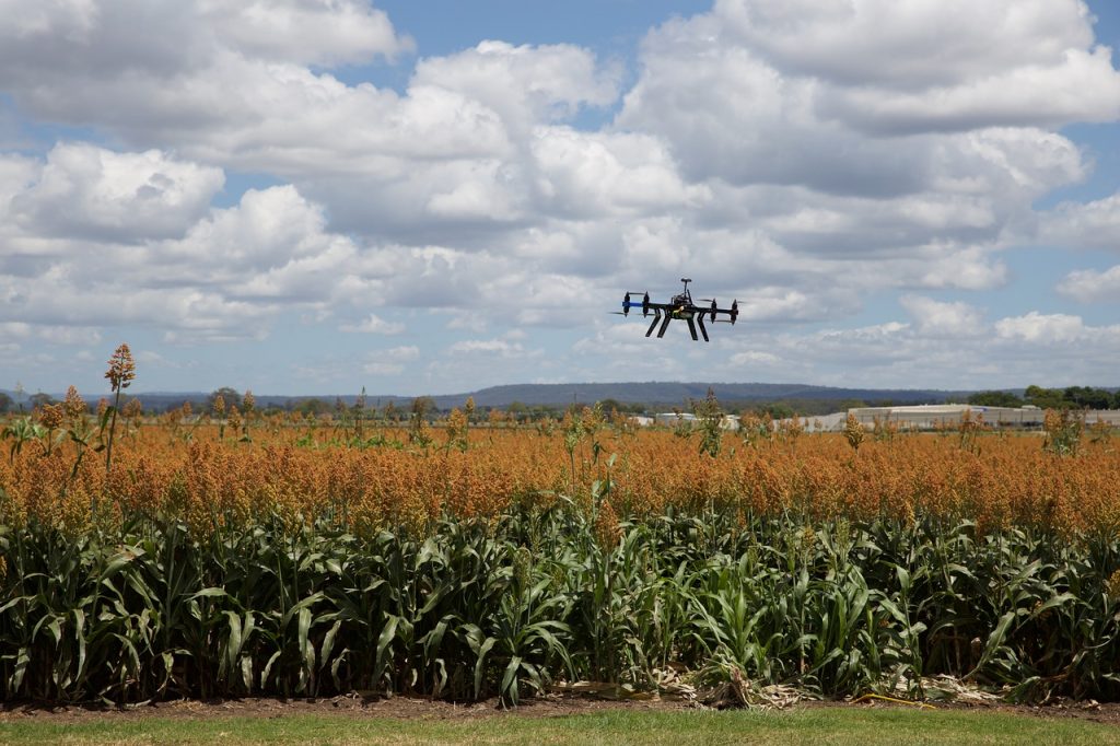 Agricoltura 4.0, ipertecnologia come parola d'ordine