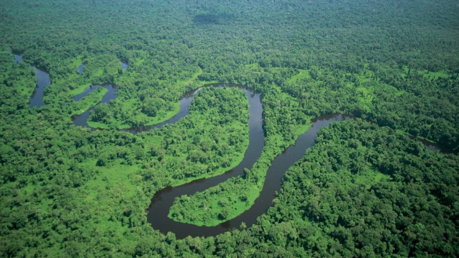 Il Sinodo per l’Amazzonia, attenzione e rispetto dal WWF