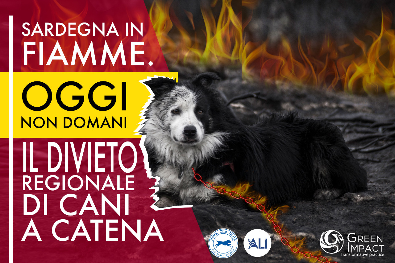 Oggi non domani, appello al presidente della Regione Sardegna