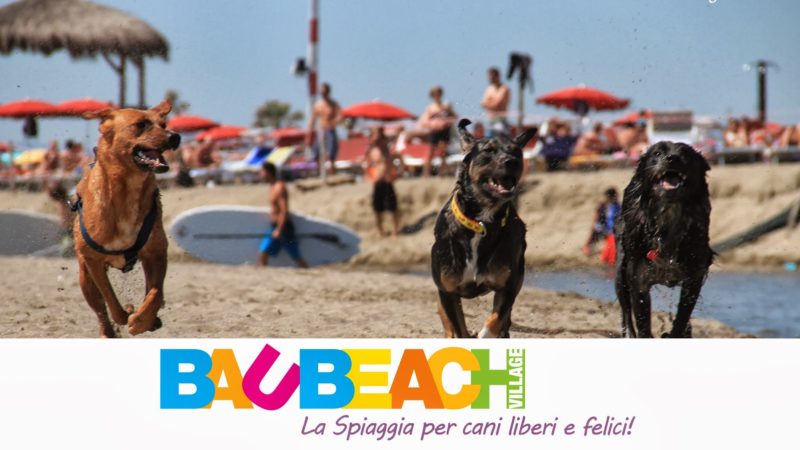 Happy Sea, Happy Earth! Al Baubeach di Maccarese