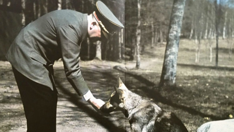 Hitler, l'idea della "razza eletta" anche con gli animali: lo rivela un libro