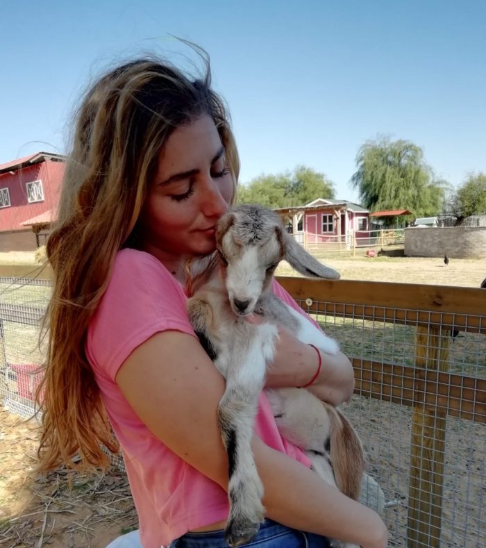 Freedom Farm Sanctuary, la fattoria della libertà 