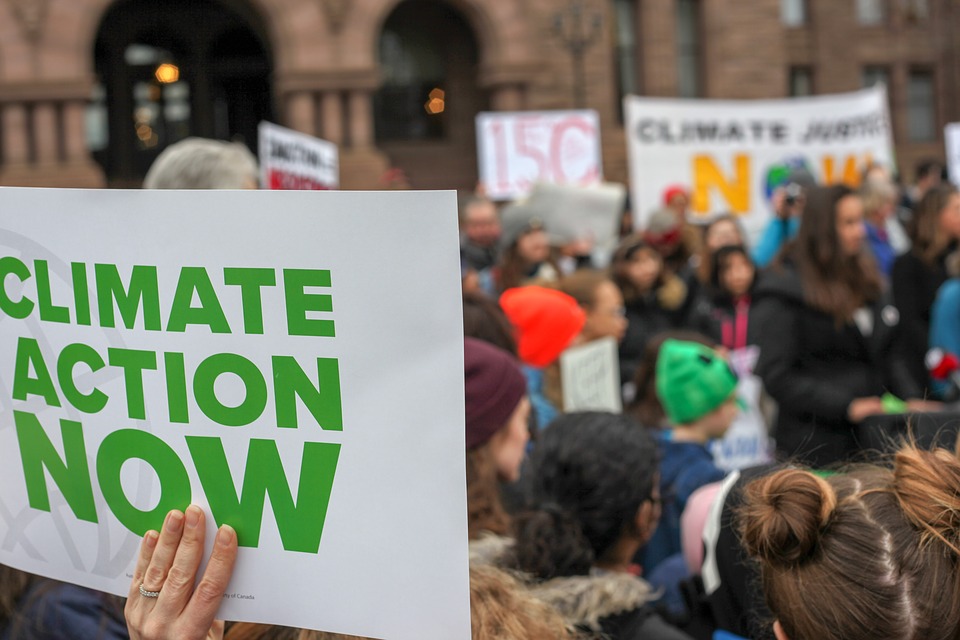 WWF, i Fridays For Future virtualmente in piazza con #GlobalDigitalStrike