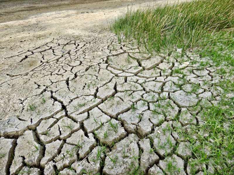 Desertificazione e siccità, oggi una giornata per riflettere