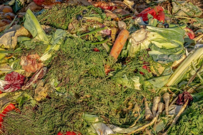 Torna il 5 febbraio la Giornata nazionale di Prevenzione dello spreco alimentare