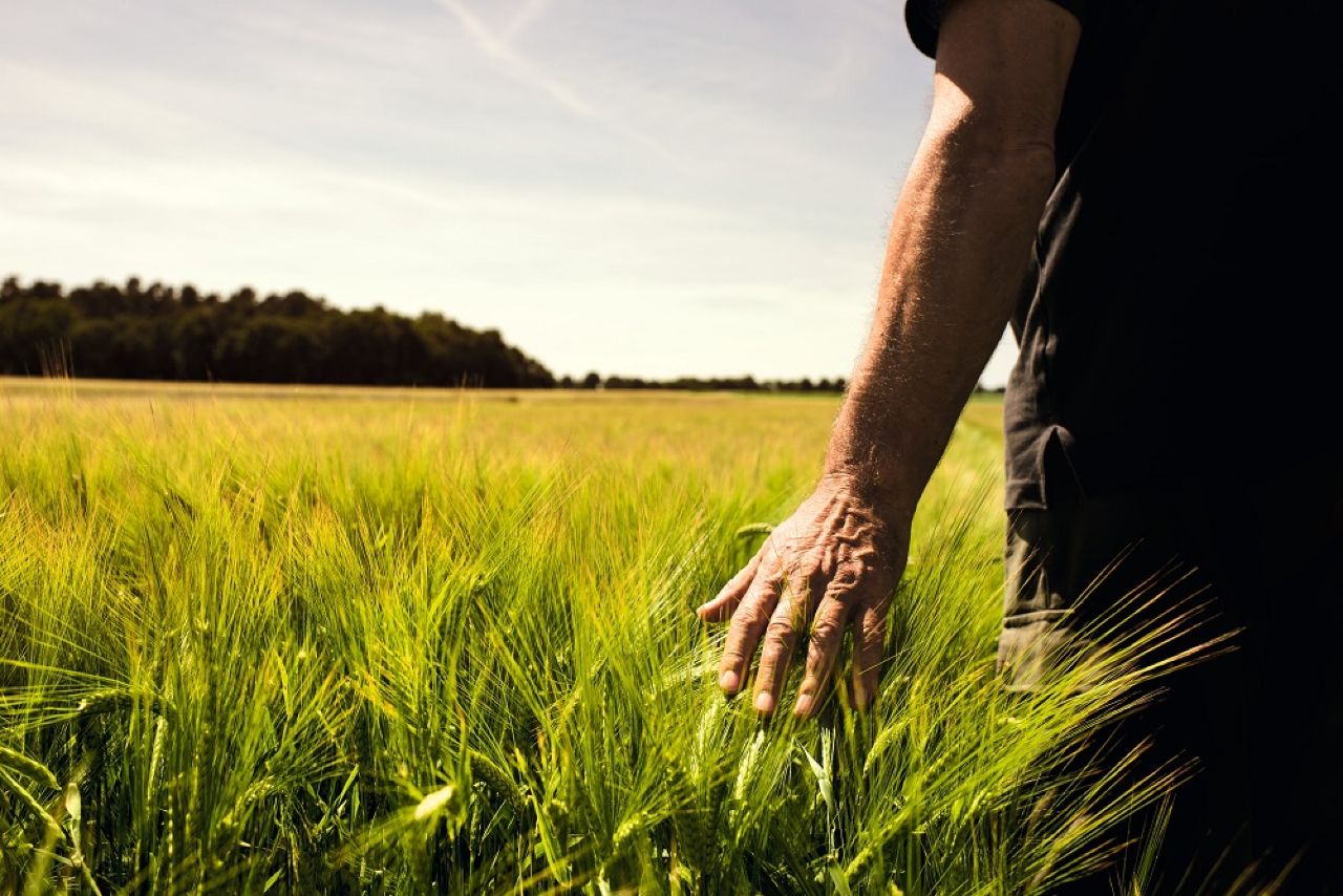 Continental presenta il suo Osservatorio sul settore agricolo in Italia in pandemia