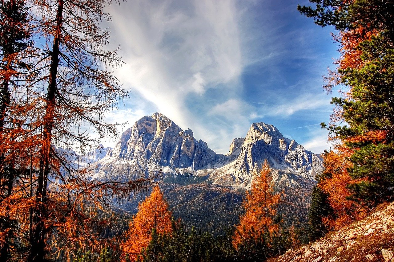 Natural-Mente un weekend dedicato ai boschi colpiti dalla tempesta Vaia