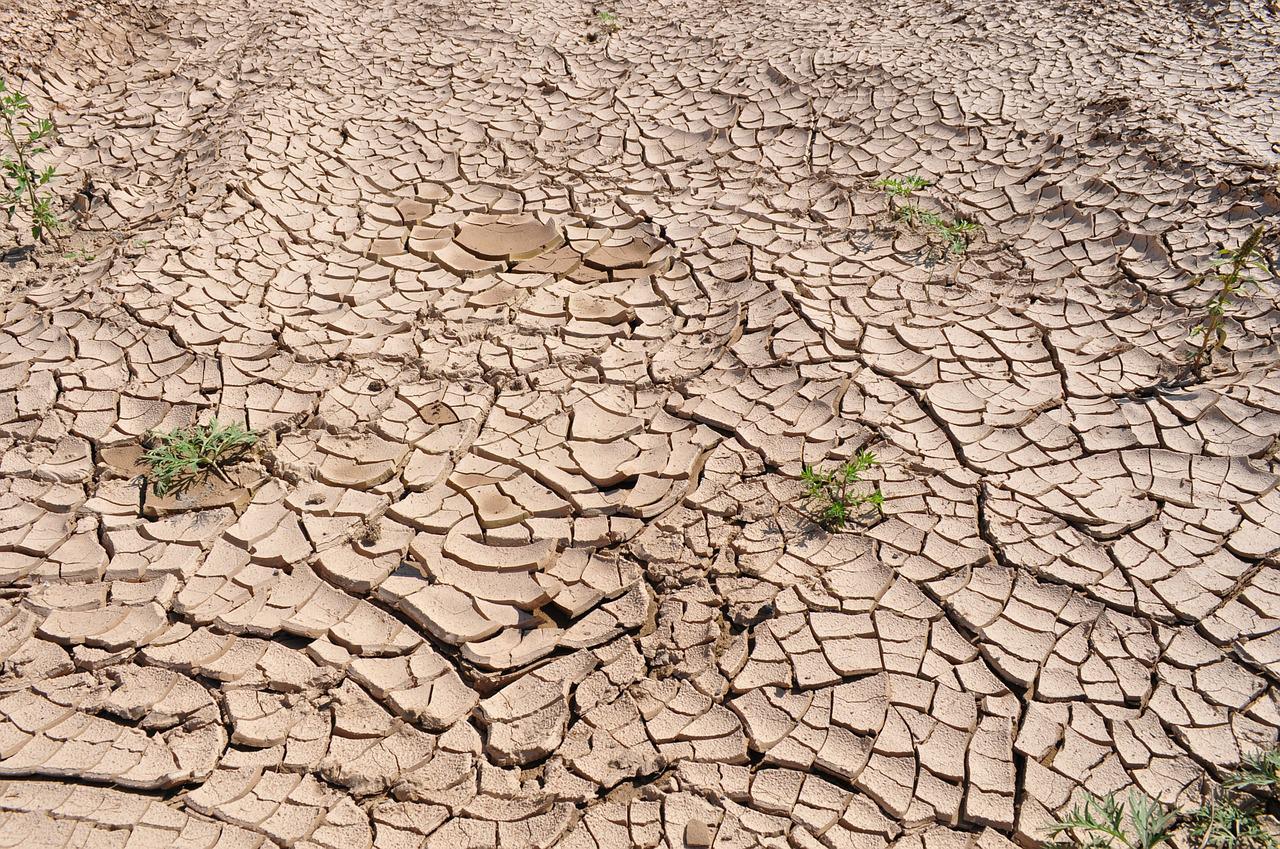 Desertificazione: in Italia il 28% del suolo è a rischio