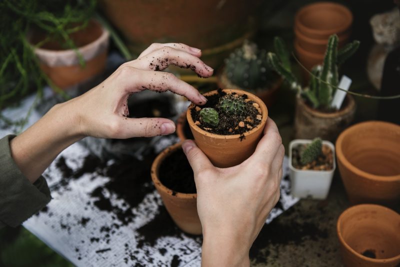 Mancata conferma del bonus verde, c'è ancora molta confusione