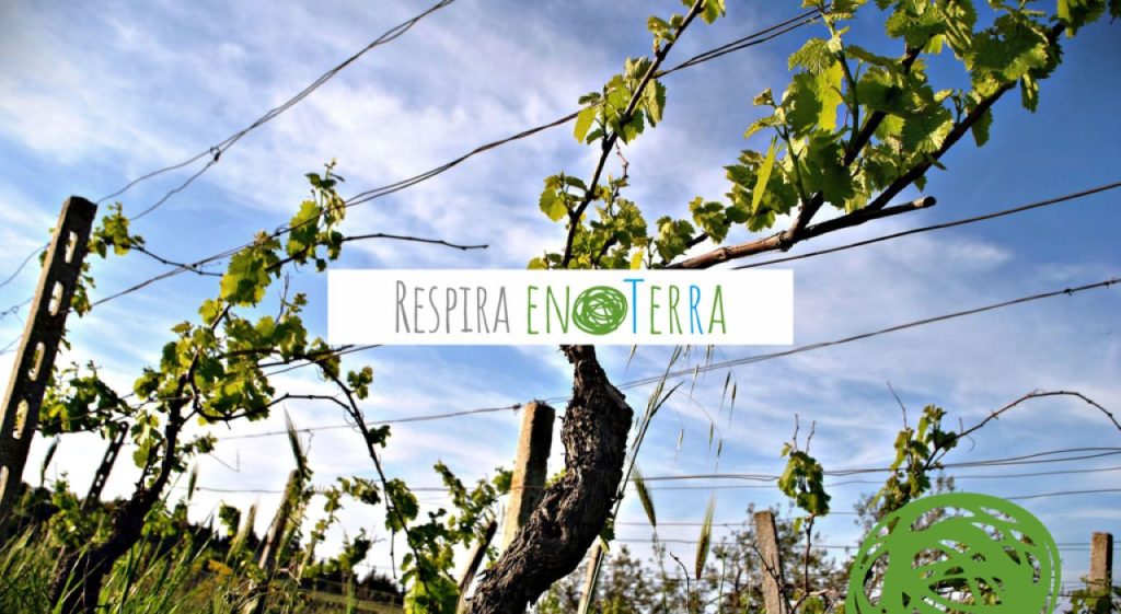 Il progetto EnoTerra, sostenibilità e rivoluzione green per la cura dei territori