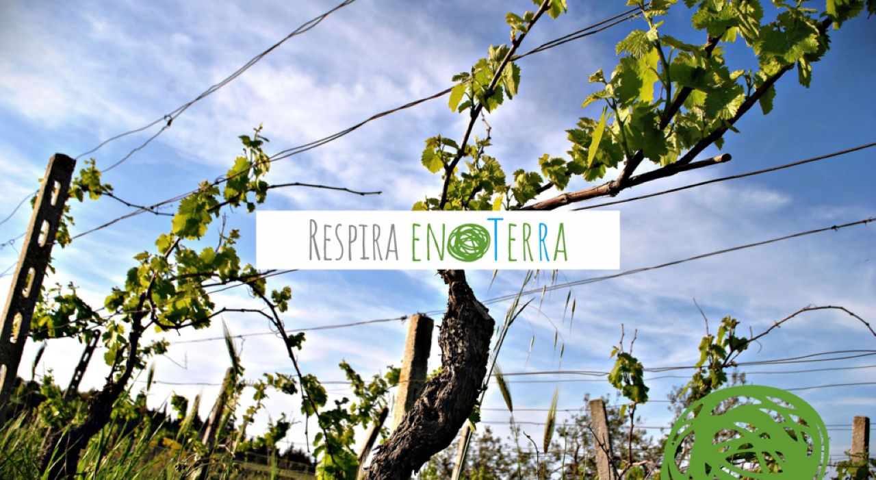 Il progetto EnoTerra, sostenibilità e rivoluzione green per la cura dei territori