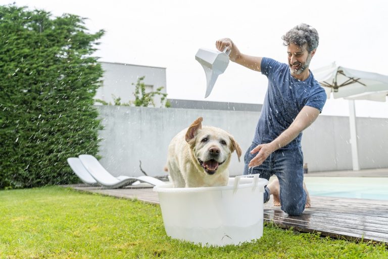 Ozobox, il sistema che sanifica e depura l'acqua in maniera "green"