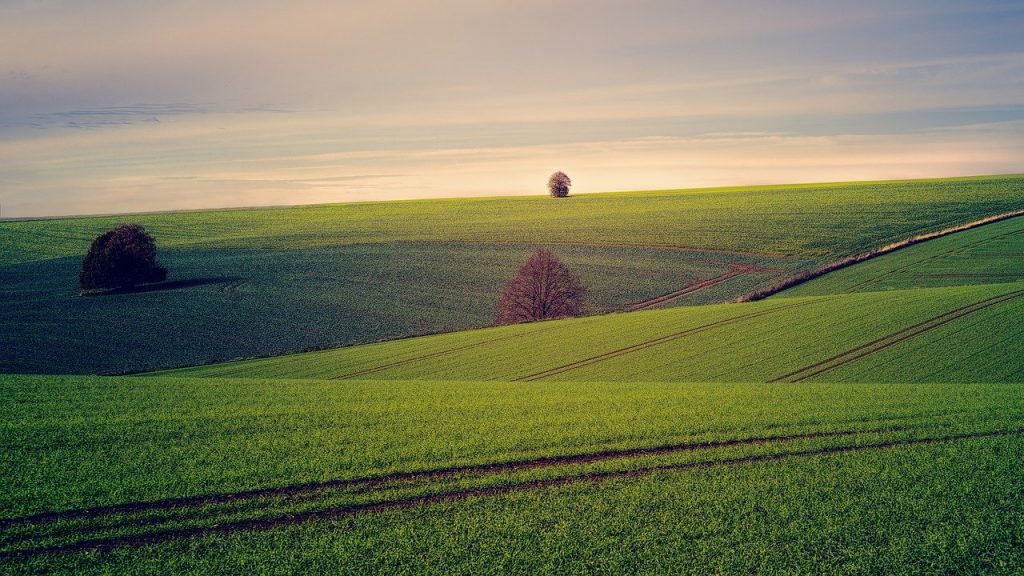 Transizione agroecologica in Chianti, studio su sostenibilità e clima