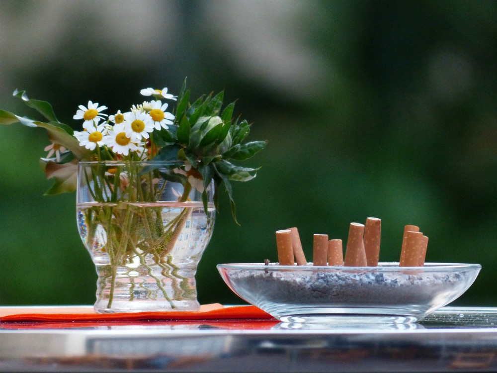 Fiori dalle sigarette: i mozziconi basi biodegradabili per le piante