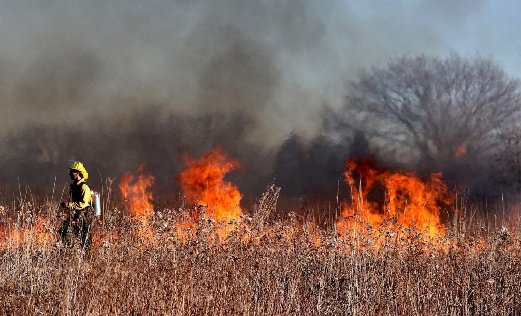 Il gel estinguente che spegne il fuoco e "cura" il bosco