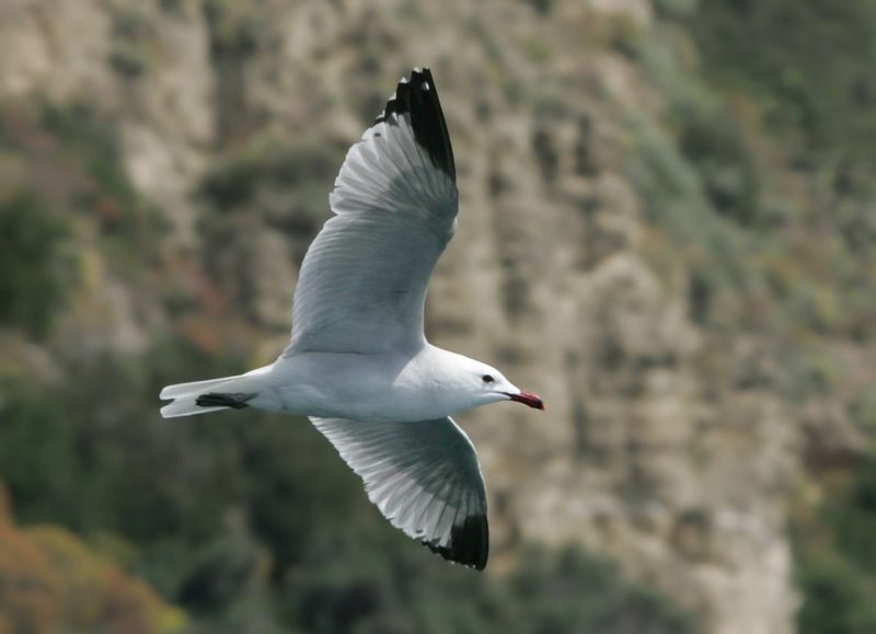 FAI, luoghi della biodiversità e del cuore