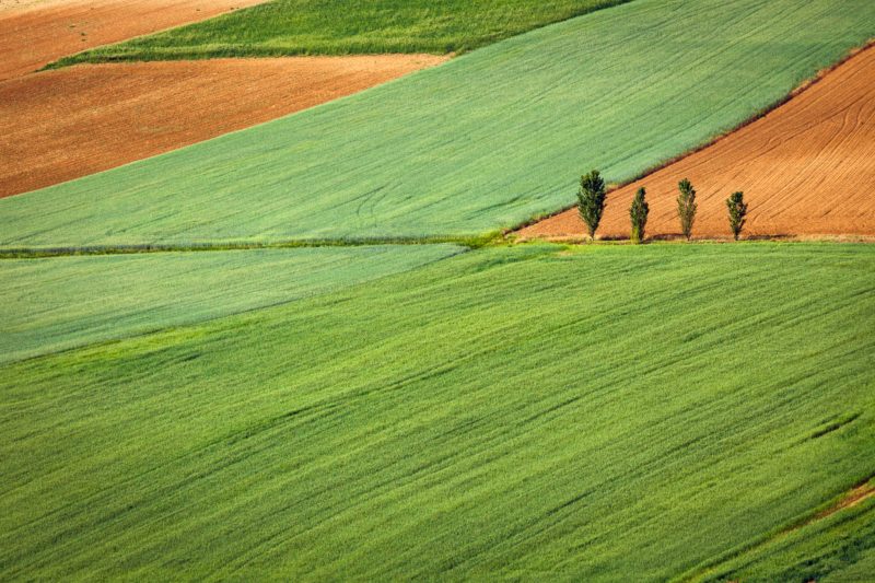 Politica agricola, appello di scienziati e associazioni per riformare la PAC