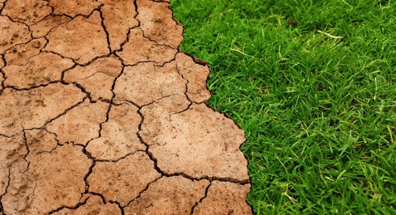 Salute del suolo e land degradation neutrality, l’importanza del monitoraggio nell’Agenda 2030