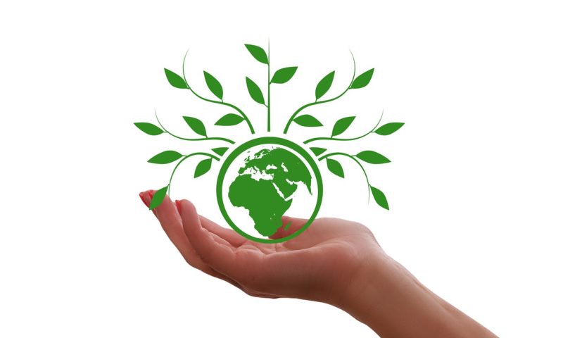 Green reporting, 6 raccomandazioni per il mondo delle imprese
