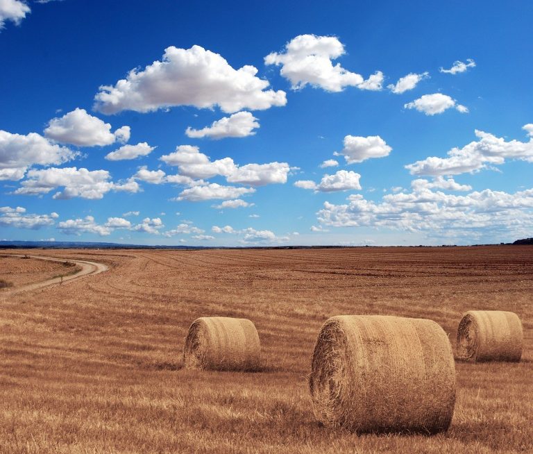 hay-bales-644440_1280