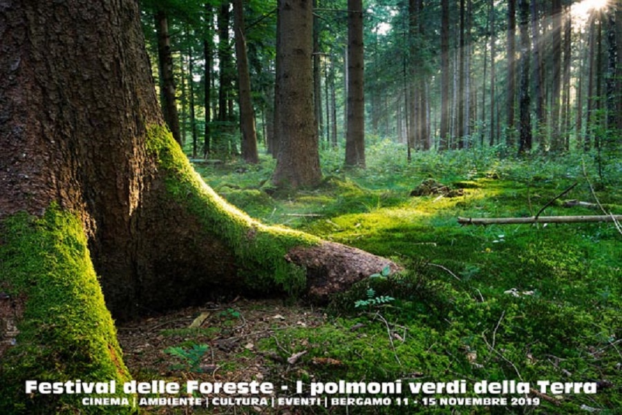 A Bergamo, il Festival delle Foreste, tra Cinema e Natura