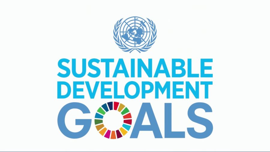 I 17 obiettivi di sviluppo sostenibile da raggiungere entro 2030