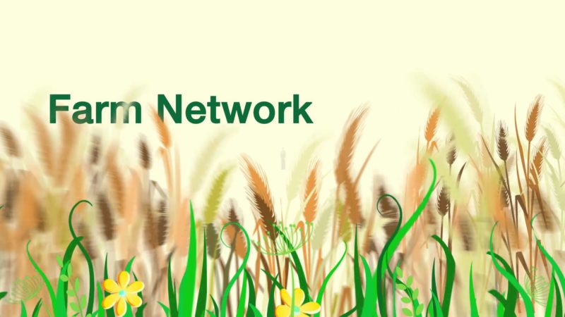 Farm Network il riso sostenibile