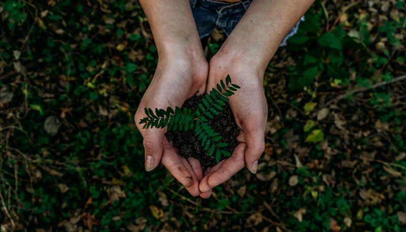 Sostenibilità e atteggiamento green: i risultati di due ricerche