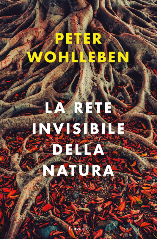 La rete invisibile della natura, il nuovo libro di Peter Wohlleben