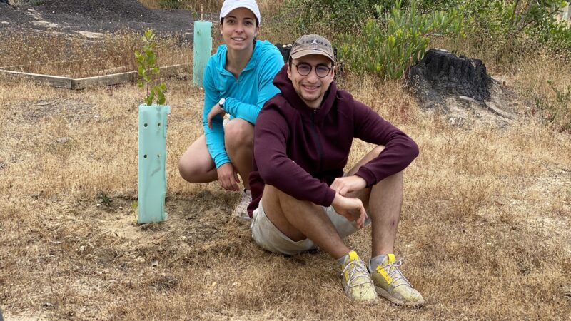 Piantando, l'impegno di due giovani per la riforestazione del Cile