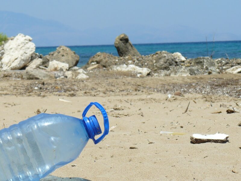 Plastica: si studia un’alternativa ecologica ideale per l’usa e getta