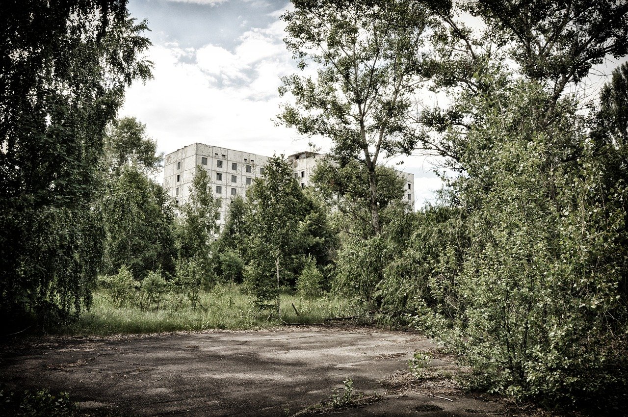 Chernobyl, dopo tanti anni fanno la loro ricomparsa diverse specie animali