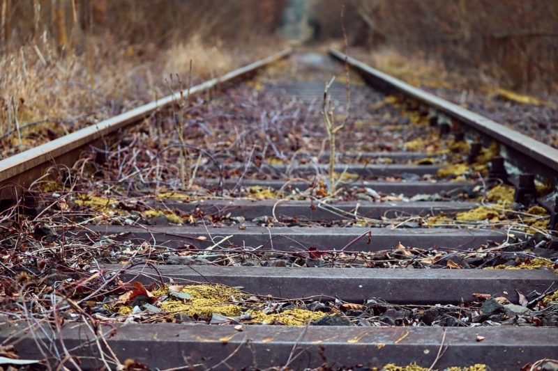 In treno, per una mobilità sempre più green?