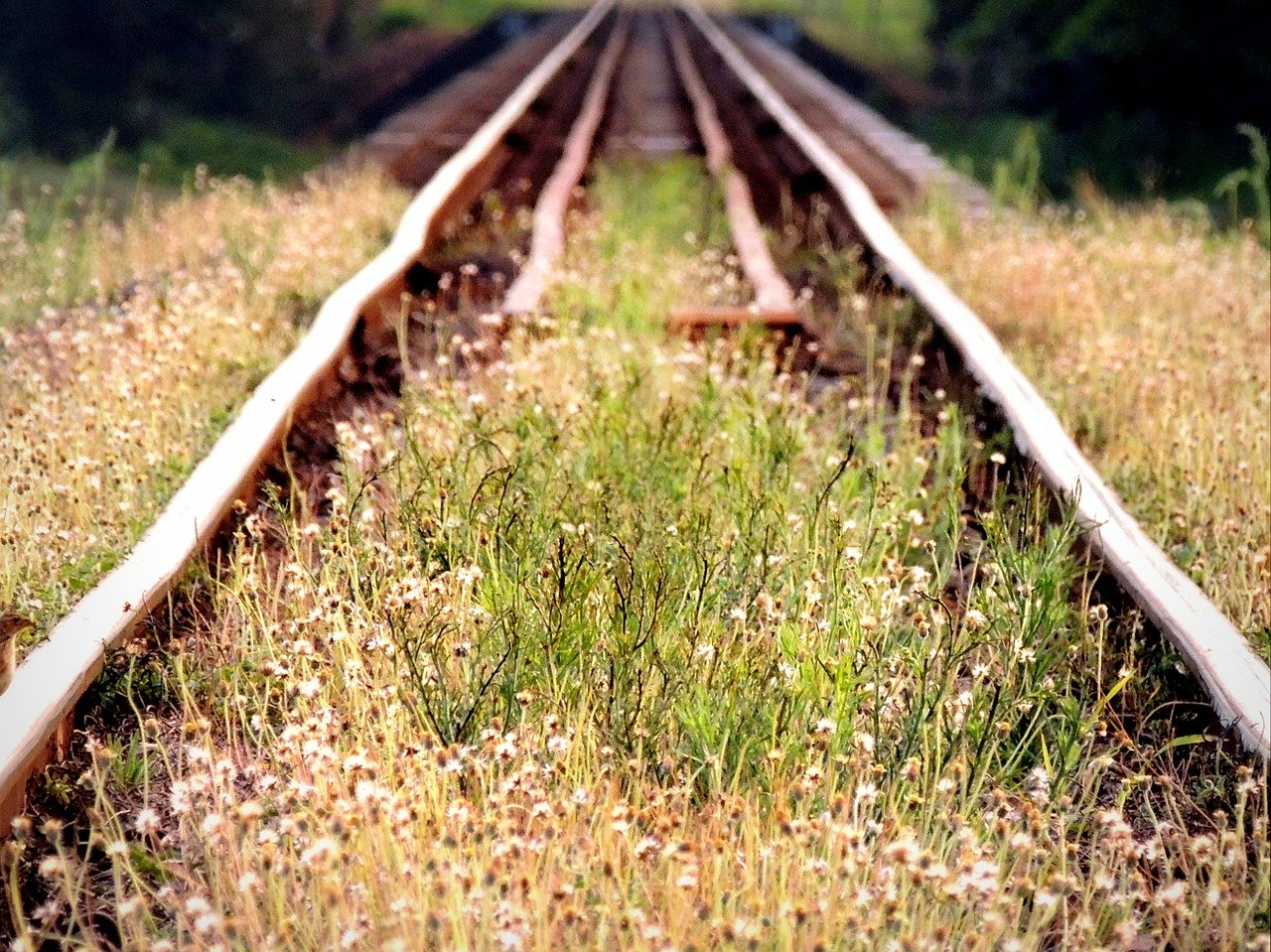 Greenways in Italia, turismo sostenibile e valorizzazione dei territori