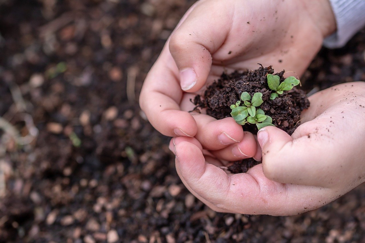 Forestazione urbana, parte il progetto Scuola Forestami